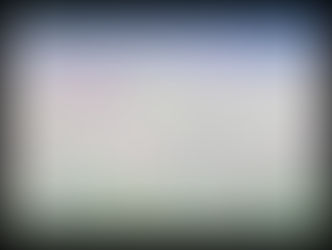 ラッキョウの花