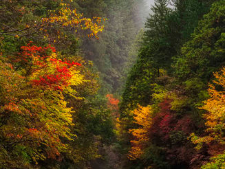 10月23日　阿寺渓谷・霊松寺