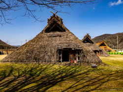 東有年沖田遺跡