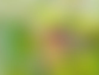 10月11日 千丈寺湖・福住・ともがき