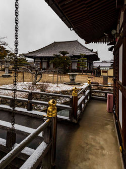 _MG_0041
