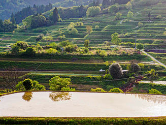 5月2日 土佐・本山町