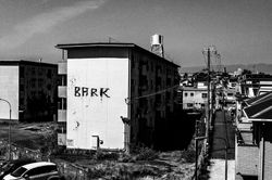 淀川沿いの住宅