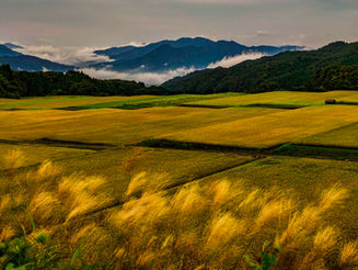 ９月１３日　蒜山・御机・白賀・上斎原