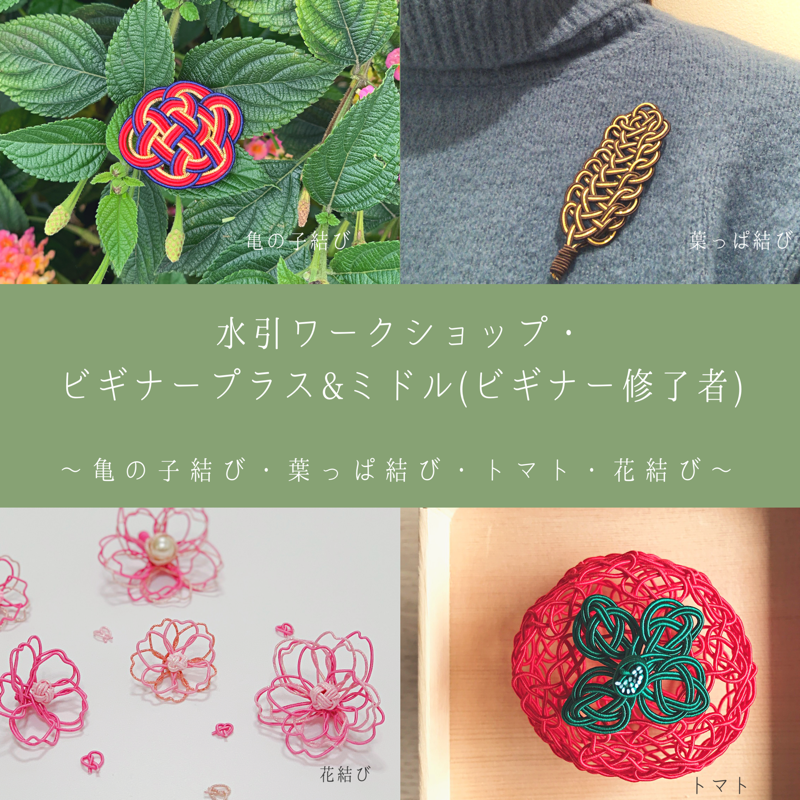 ベスト50 水引 葉っぱ 最高の花の画像