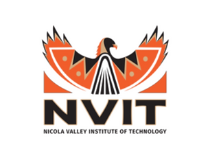 NVIT (1).png