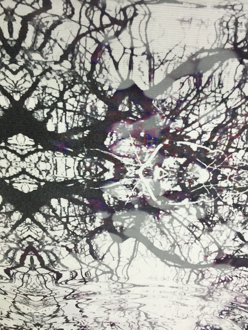 reflection