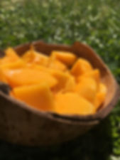 IMG_8486.jpeg
