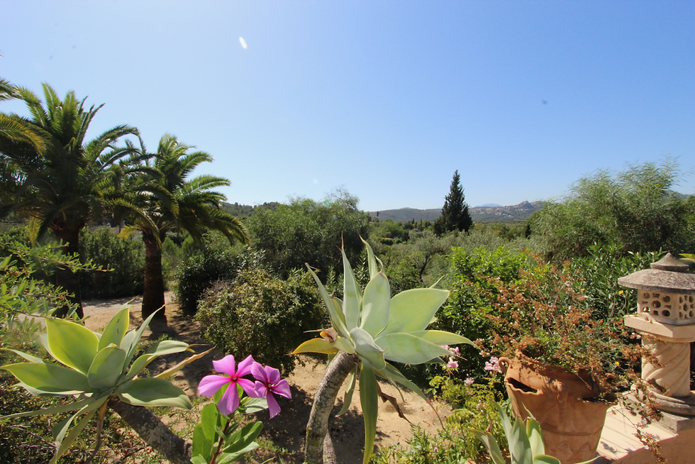 Atalaya garden 2