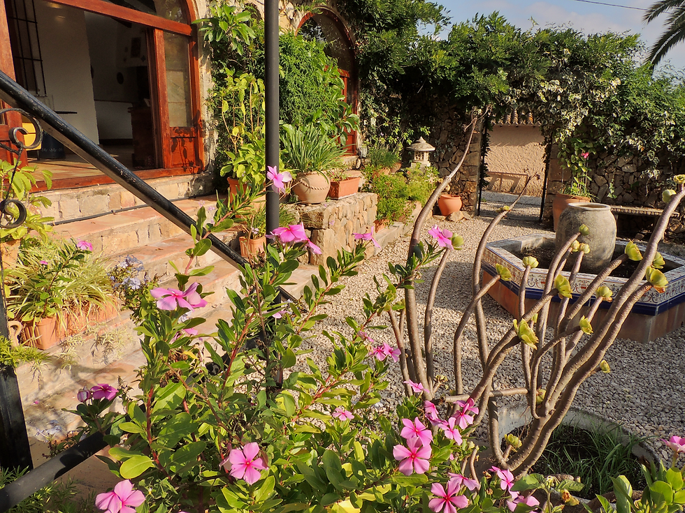 Atalya garden