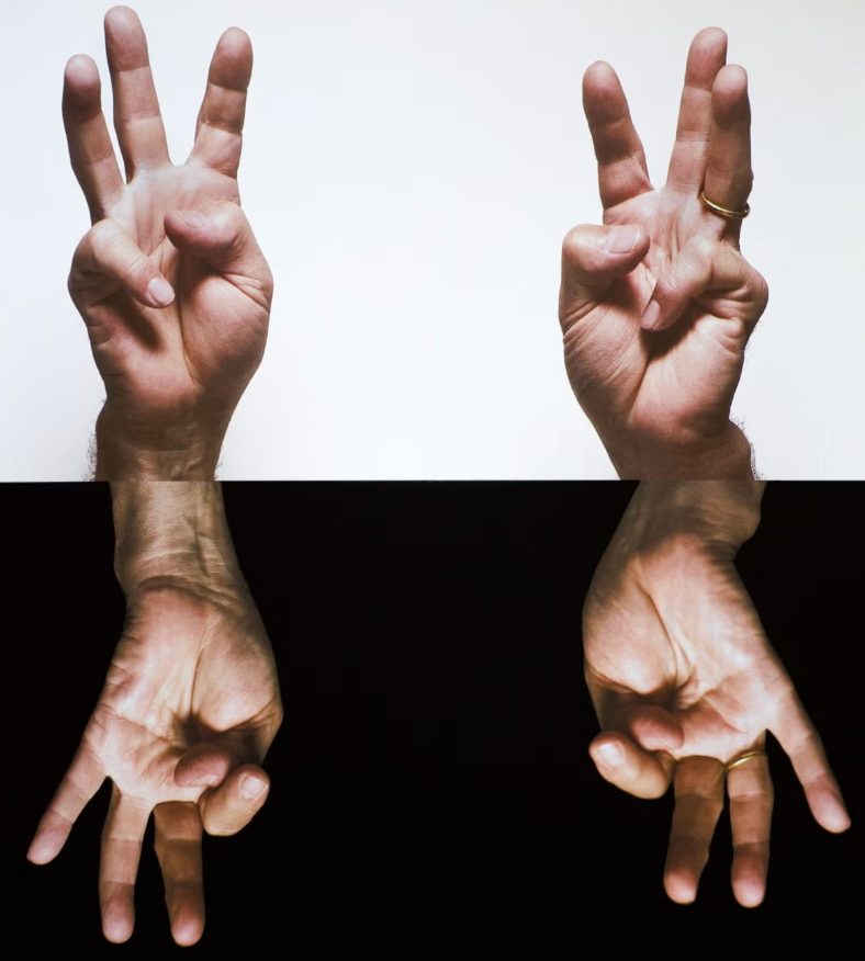 Bruce Nauman: From the Collection