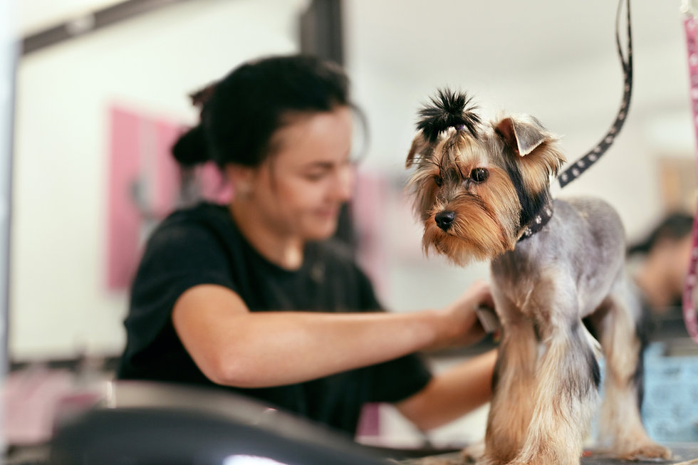 AdobeStock_220818575.jpeg