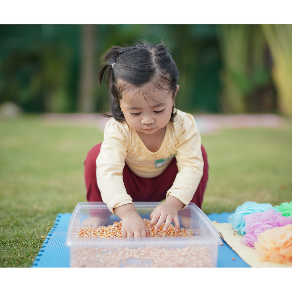 Mainan Sensory