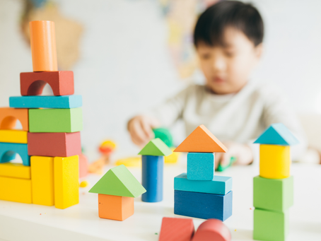 Jenis Mainan Anak Autism