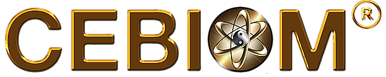 0ba3cd_7ac85e1fe2b844f4947552fe515be12f_