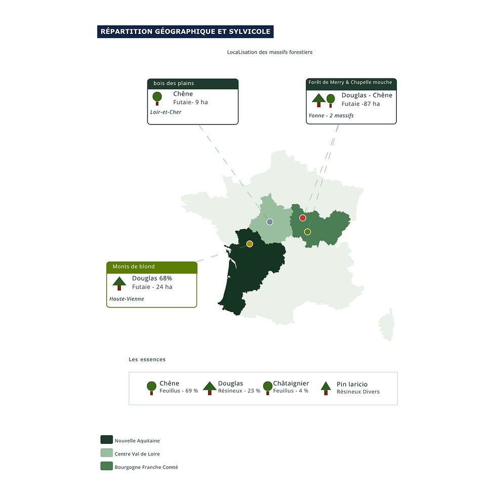 Carte de France des terrains forestiers disponibles à la vente