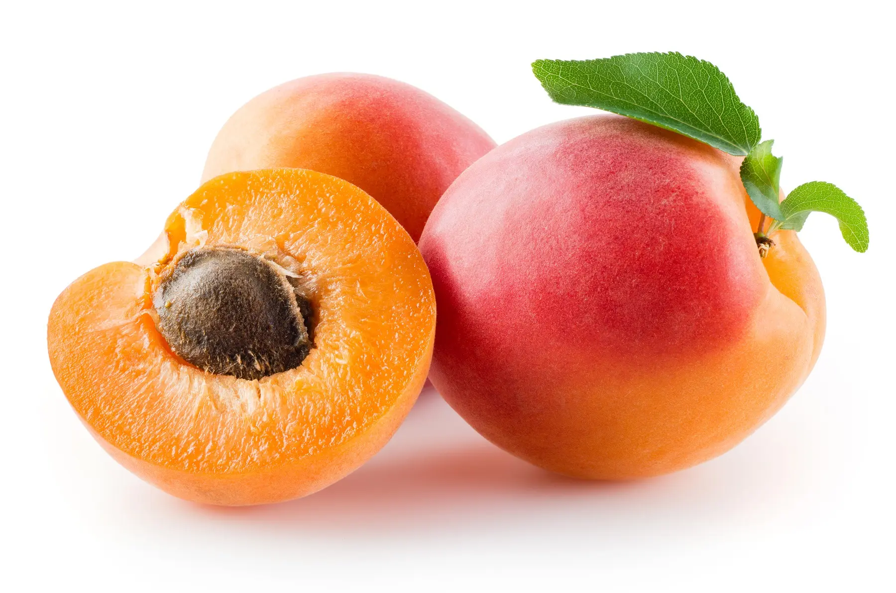 abricots_fond_blanc.webp
