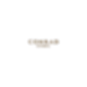 Logo Conrad