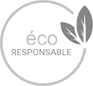 Icone_éco-responsable.png
