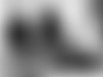 Verterra Delivers Four Volturnus to the US Army Corps of Engineers