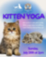 Kitten Yoga