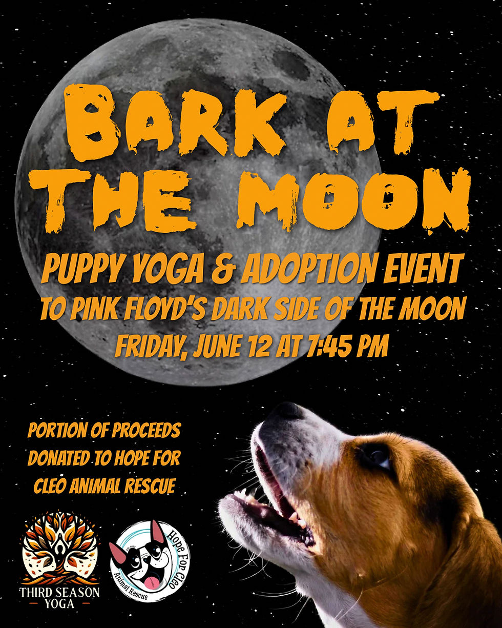 Bark at the Moon: Puppy Yoga