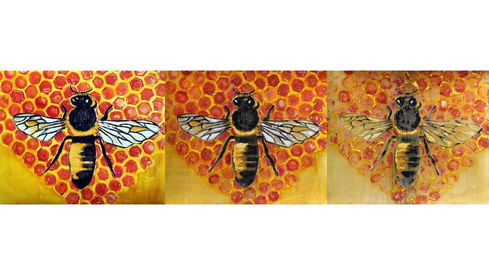 Classes and workshops offered by Fallbrook School of the Arts in Fallbrook, CA for students to develop their artistic skills across different mediums