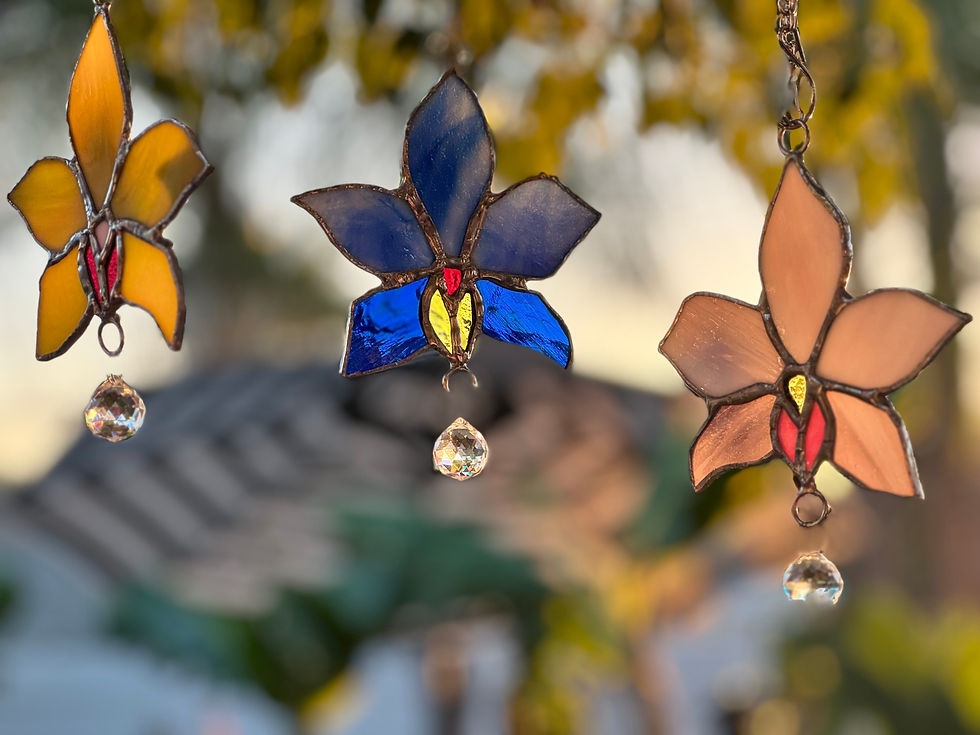 Classes and workshops offered by Fallbrook School of the Arts in Fallbrook, CA for students to develop their artistic skills across different mediums