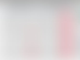 Indian Car Sales Figures - November 2025