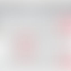 Indian Car Sales Figures - December 2025