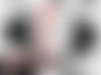 2026 Bajaj Pulsar 220F Launched at ₹1.36 Lakh – Finally Gets Full LED Headlight Setup