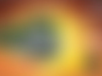 TVS Eurogrip launches eleven new products for Motorcycles, Scooters & E-rickshaws!