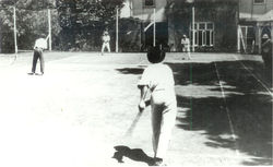 Tennis Lawn
