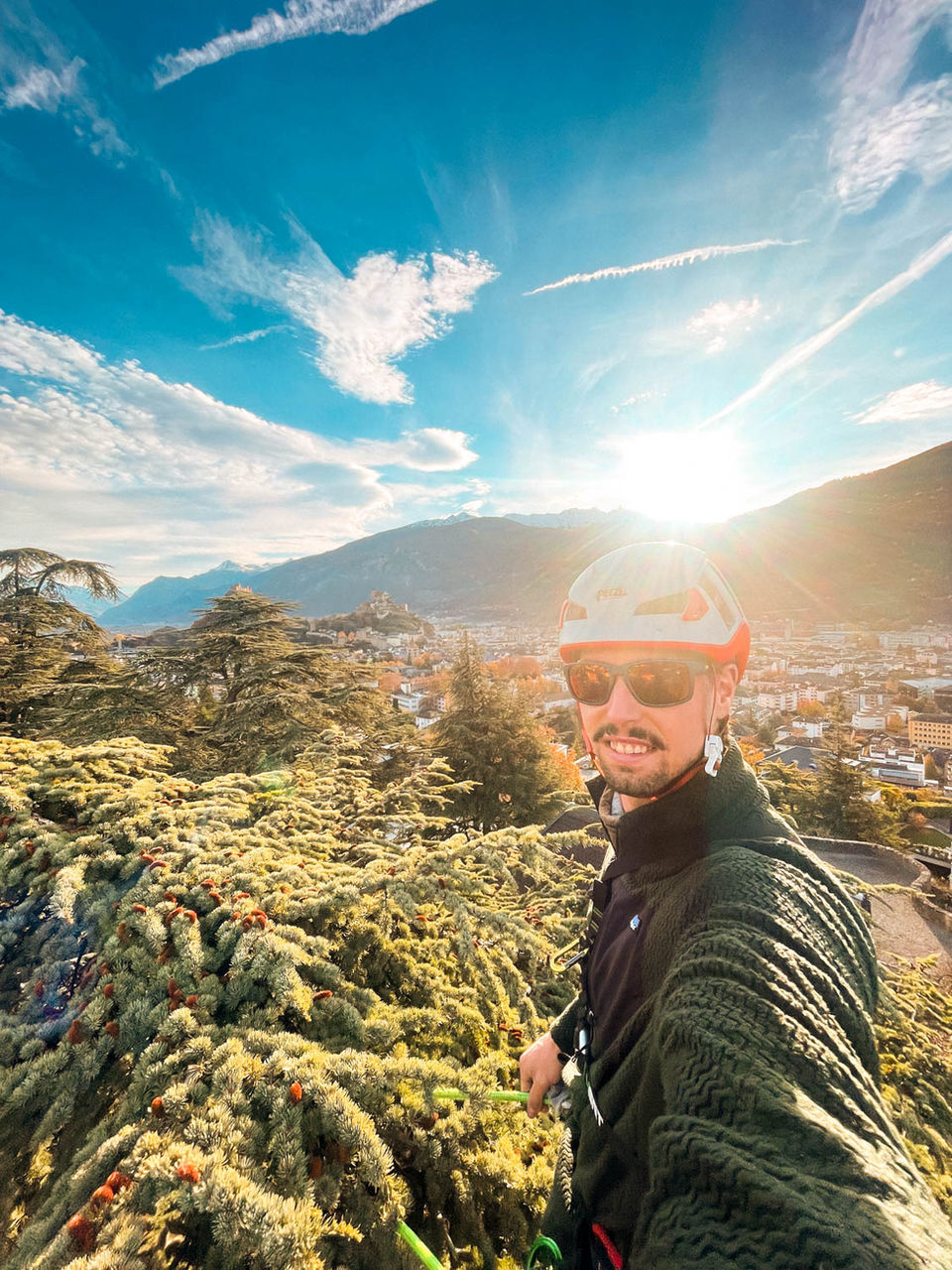 Jordan Flückiger Arboriste Grimpeur Soins aux arbres