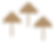 Parasols.png