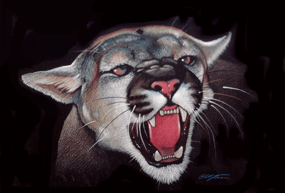 Angry_Cougar.GIF