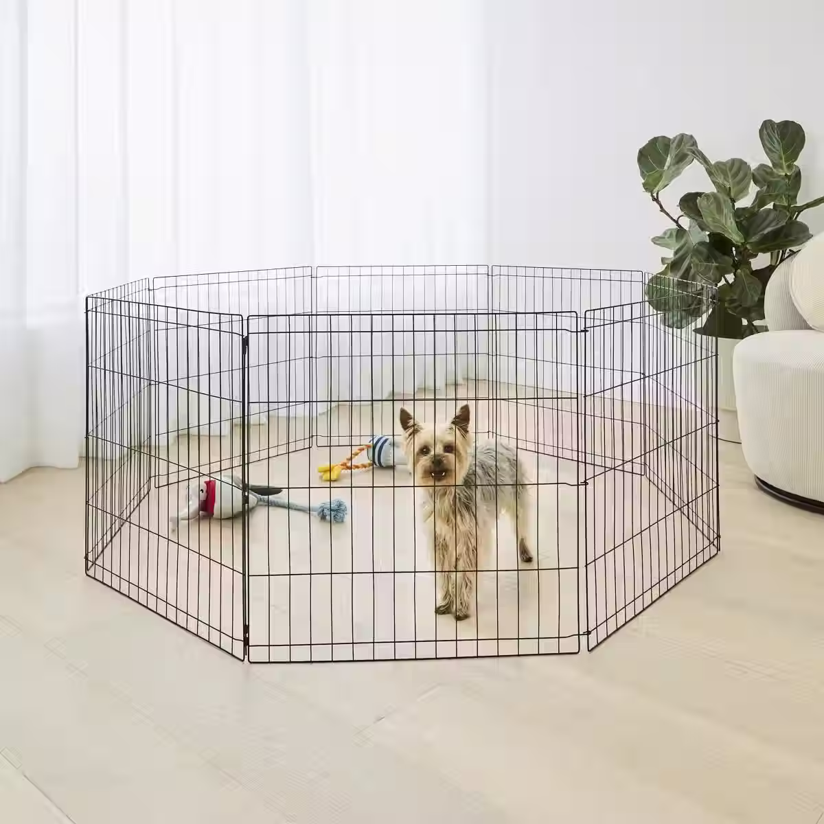 SPONSOR A PUPPY PEN