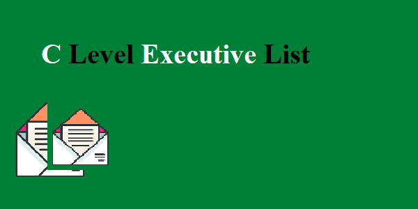 Ask Someone Else C Level Executive List content media