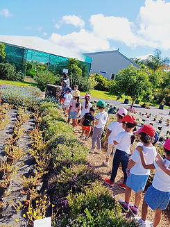 WhatsApp Image 2025-04-16 at 14.39.08.jpeg