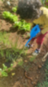Potager