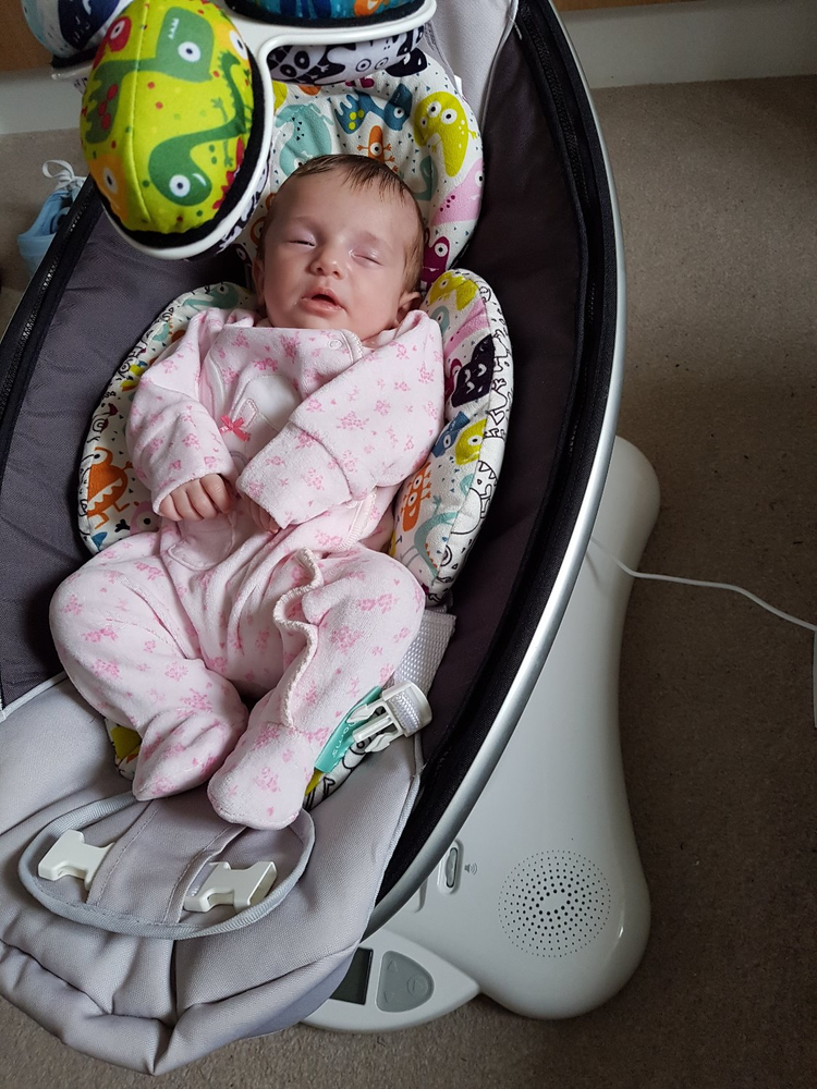 mamaroo and babocush