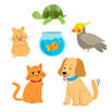 Dream Pet - POLL