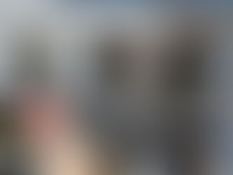 White House Renovation - POLL