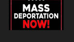 Mass Deportation - Poll