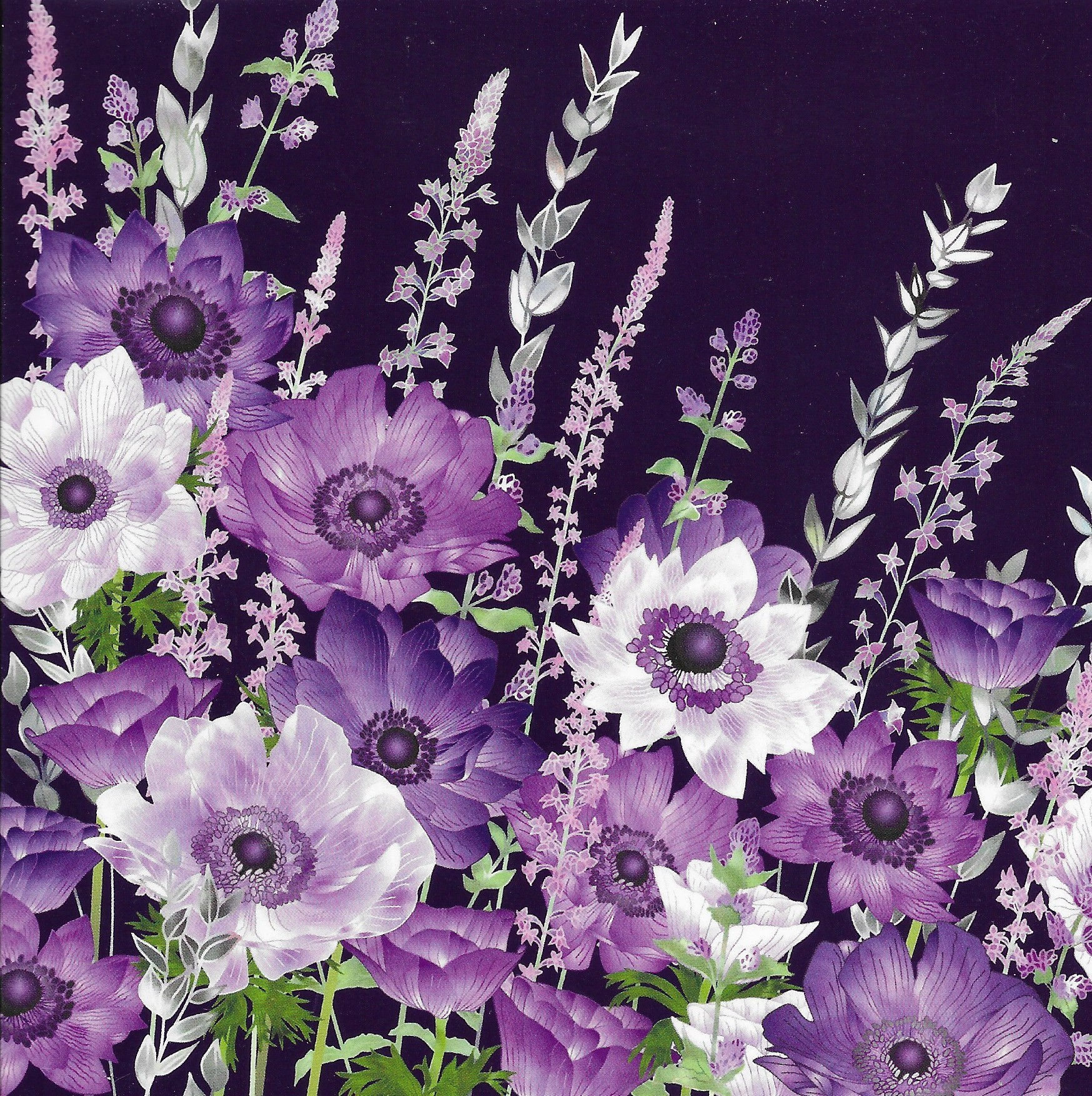 The Evening Anemone Patch (Blank card)