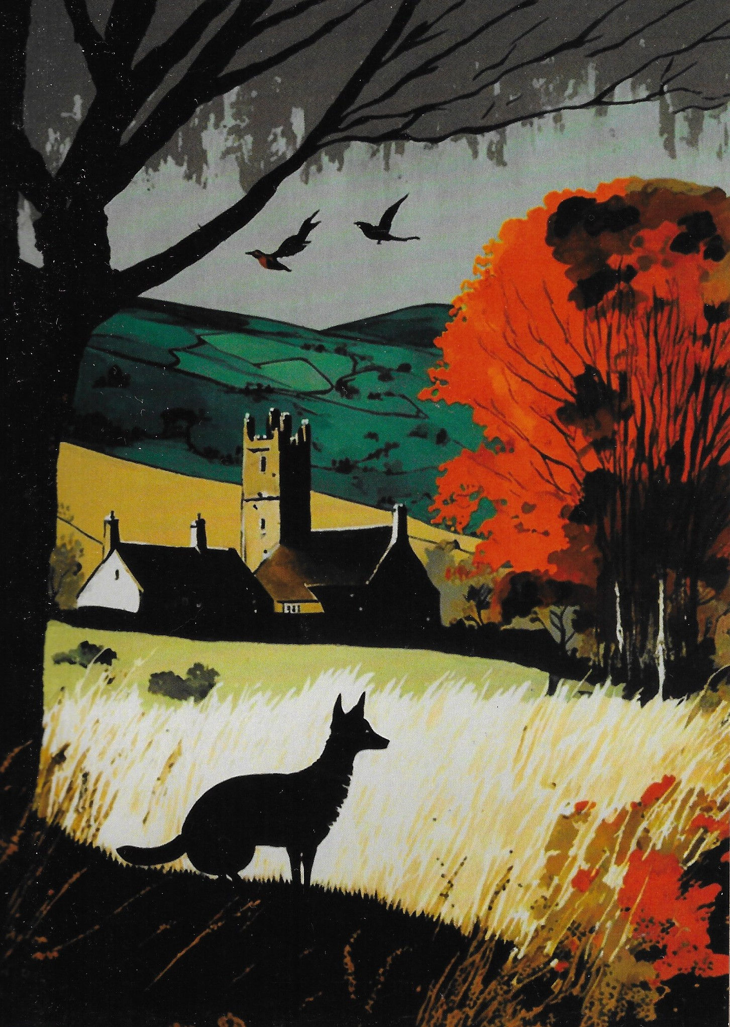 Brecon Beacons-Bannau Brycheiniog 14