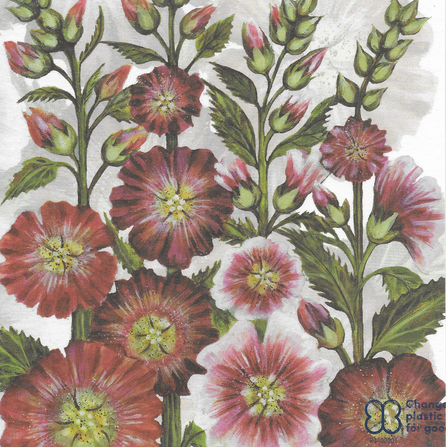Hollyhocks (Blank card)