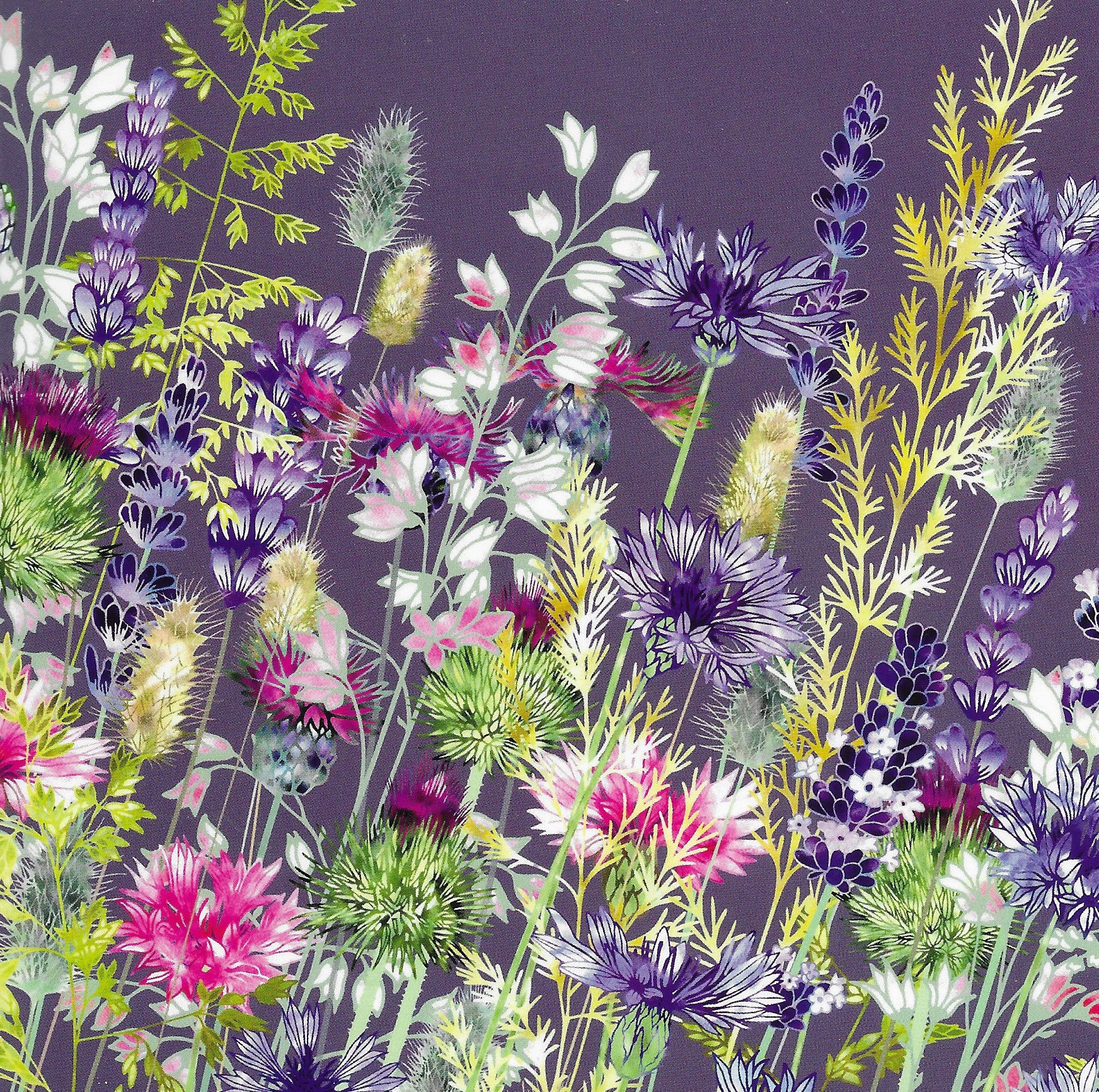 Wandering through Whimsy (Blank card)
