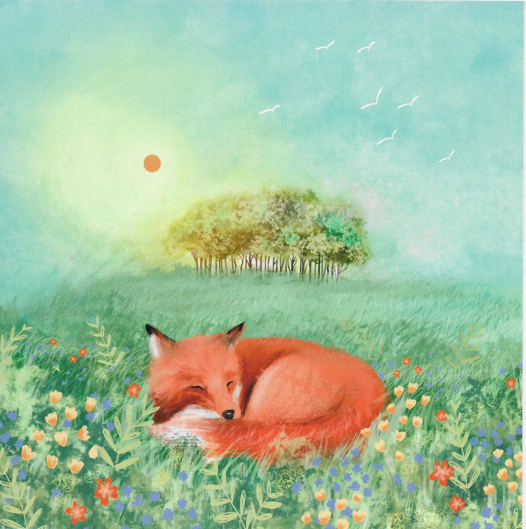 Sleeping Fox
