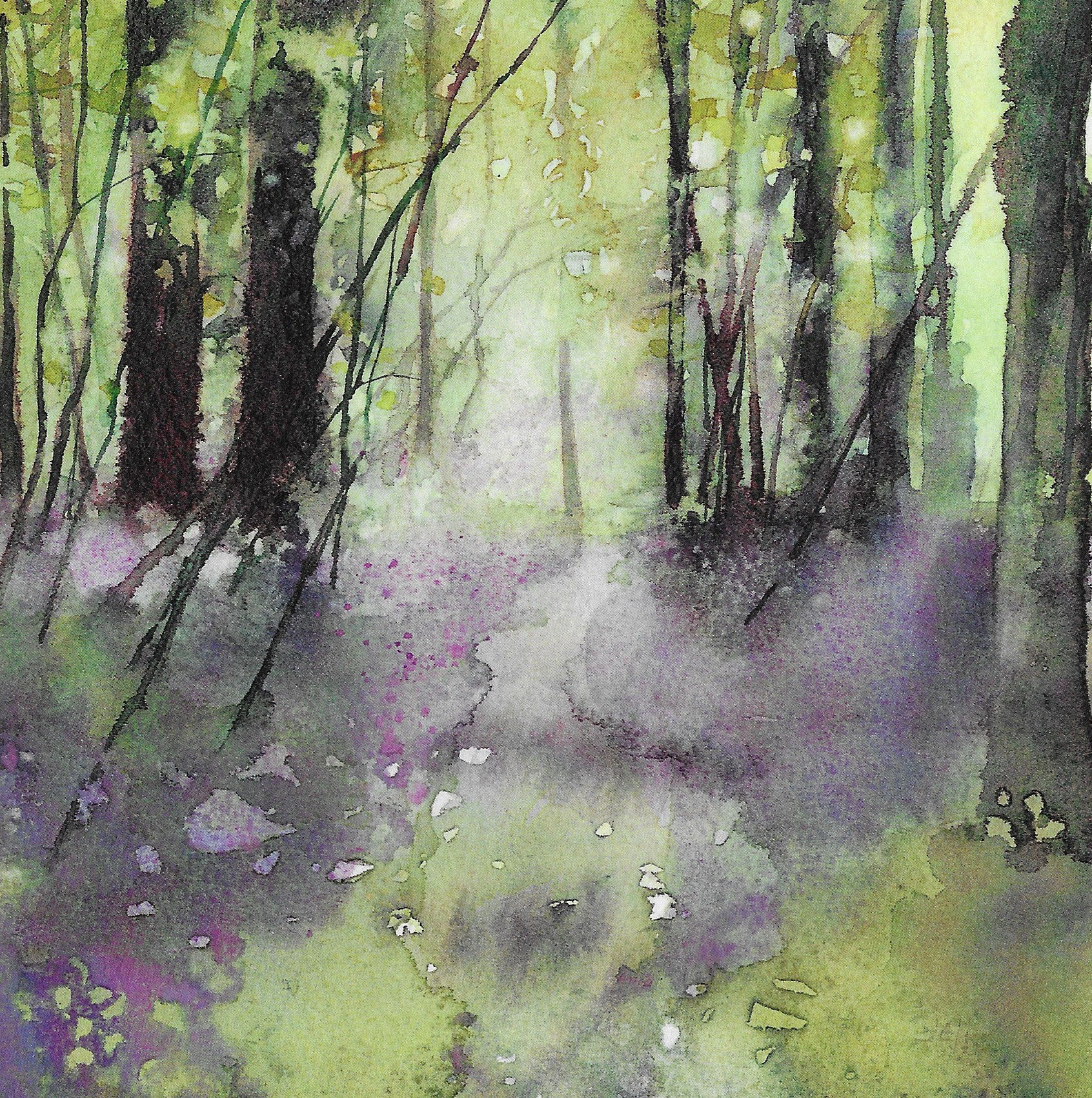 Bluebells, Bluebells everywhere